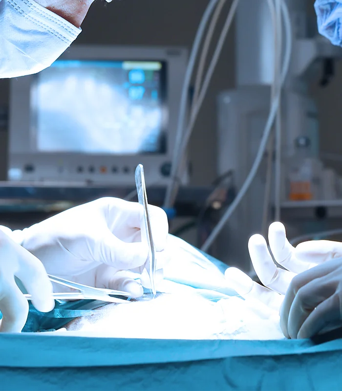 Illustration chirurgie pédiatrique – Maison de Santé Medivie à Templeuve-en-Pévèle